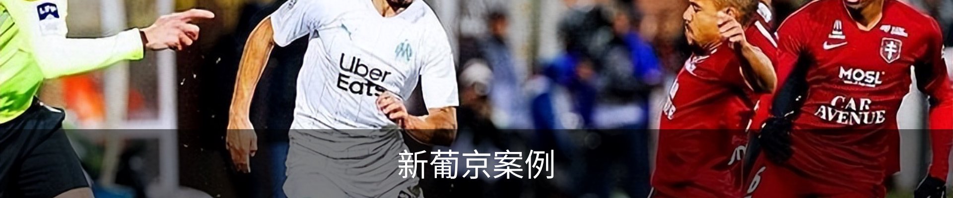 新葡京案例